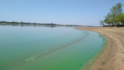 Los informes sobre el estado de las playas del río Uruguay son emitidos por la CARU de periodicidad semanal.