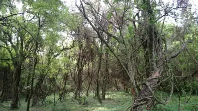 parque natural