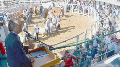 Hoy quedará formalmente inaugurada la Expo Rural de Gualeguaychú. Se espera la presencia del ministro de Agricultura, Ganadería y Pesca de la Nación Luis Miguel Etchevehere.