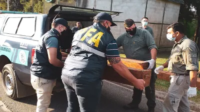 Momento en que se secuestran las cien aves en Chajarí: el procedimiento fue realizado por la Policía Federal y la Dirección General de Fiscalización de la provincia.