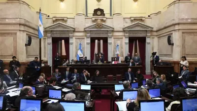 Ahora el Senado discute los artículos de manera particular.