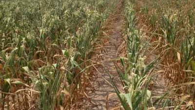 El aumento constante de las temperaturas se debe, principalmente, a las concentraciones de gases de efecto invernadero.