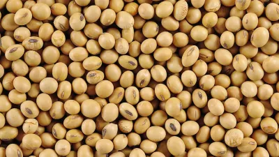 Proponen la creación de un nuevo Fondo Federal Sojero