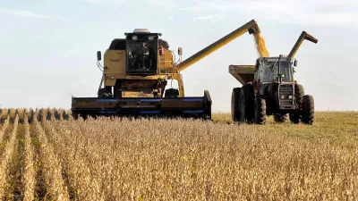 Por la fortaleza que muestran los precios de la soja, los analistas retocaron al alza sus proyecciones de rebote en la actividad para el 2021.