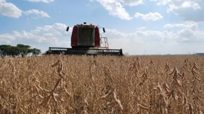 La soja subió casi 2% en Chicago y quedó a un paso de los u$s530