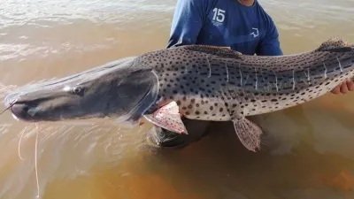 Pesca.