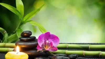 Terapias Alternativas