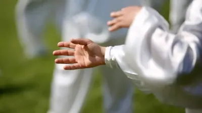 Día Mundial del Tai Chi Chuan