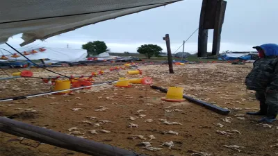 La tormenta acontecida días atrás afectó zonas productivas en los Departamentos Federación, Colón, Uruguay, Tala y Paraná.