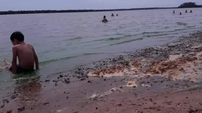 Denunciaron que playas de Colón están invadidas por algas tóxicas