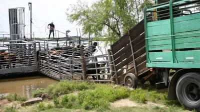 El proyecto había sido impulsado por estas dos últimas entidades, con el objetivo de desconcentrar la operatoria del único puerto ganadero actualmente disponible en la zona.