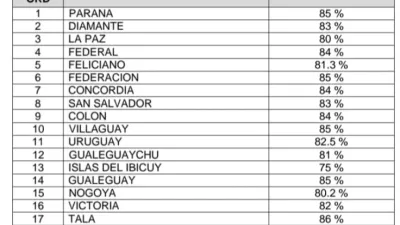 Porcentajes de votantes que se acercaron a las urnas.