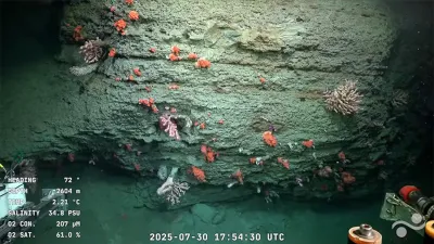 Captura de la transmisión que explora la vida marina en Argentina a más de 3900 metros de profundidad.