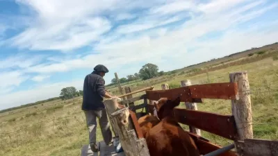 El costo de la dosis aplicada quedó en 2.650 pesos.