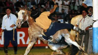 Amparo contra el municipio de Oro Verde.
