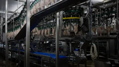 Granja Tres Arroyos produciendo