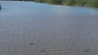 laguna