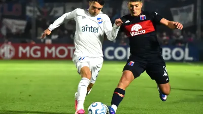 Tigre