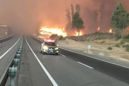 Al menos 13 muertos causaron los 204 incendios forestales que afectan a la zona Centro Sur de Chile, y que llevaron al Gobierno a declarar el estado de catástrofe en esa región.