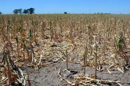 A raíz de la sequía se espera una menor recaudación tributaria sobre el comercio exterior, además de una merma en distintas actividades vinculadas con el agro.