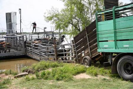 El proyecto había sido impulsado por estas dos últimas entidades, con el objetivo de desconcentrar la operatoria del único puerto ganadero actualmente disponible en la zona.