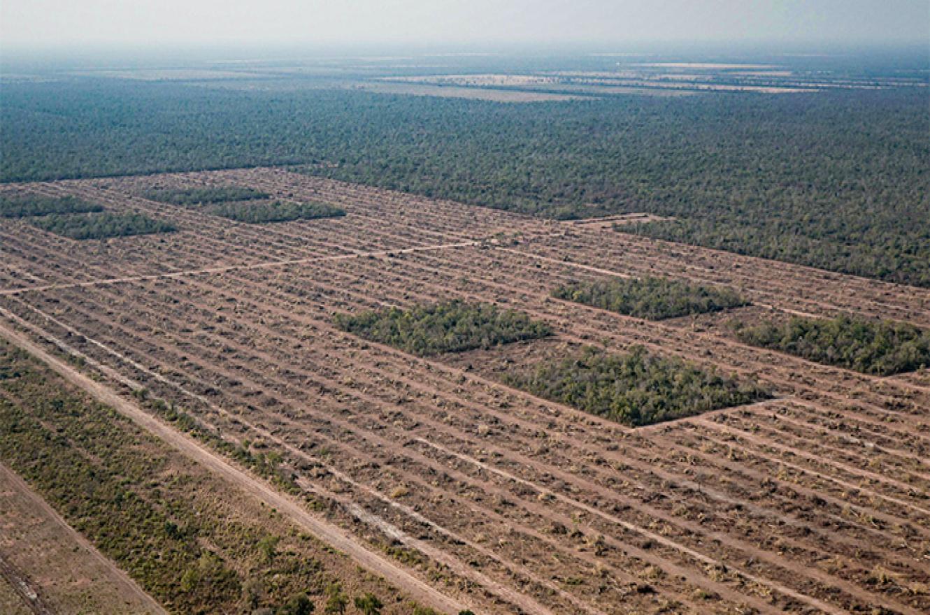 Greenpeace.