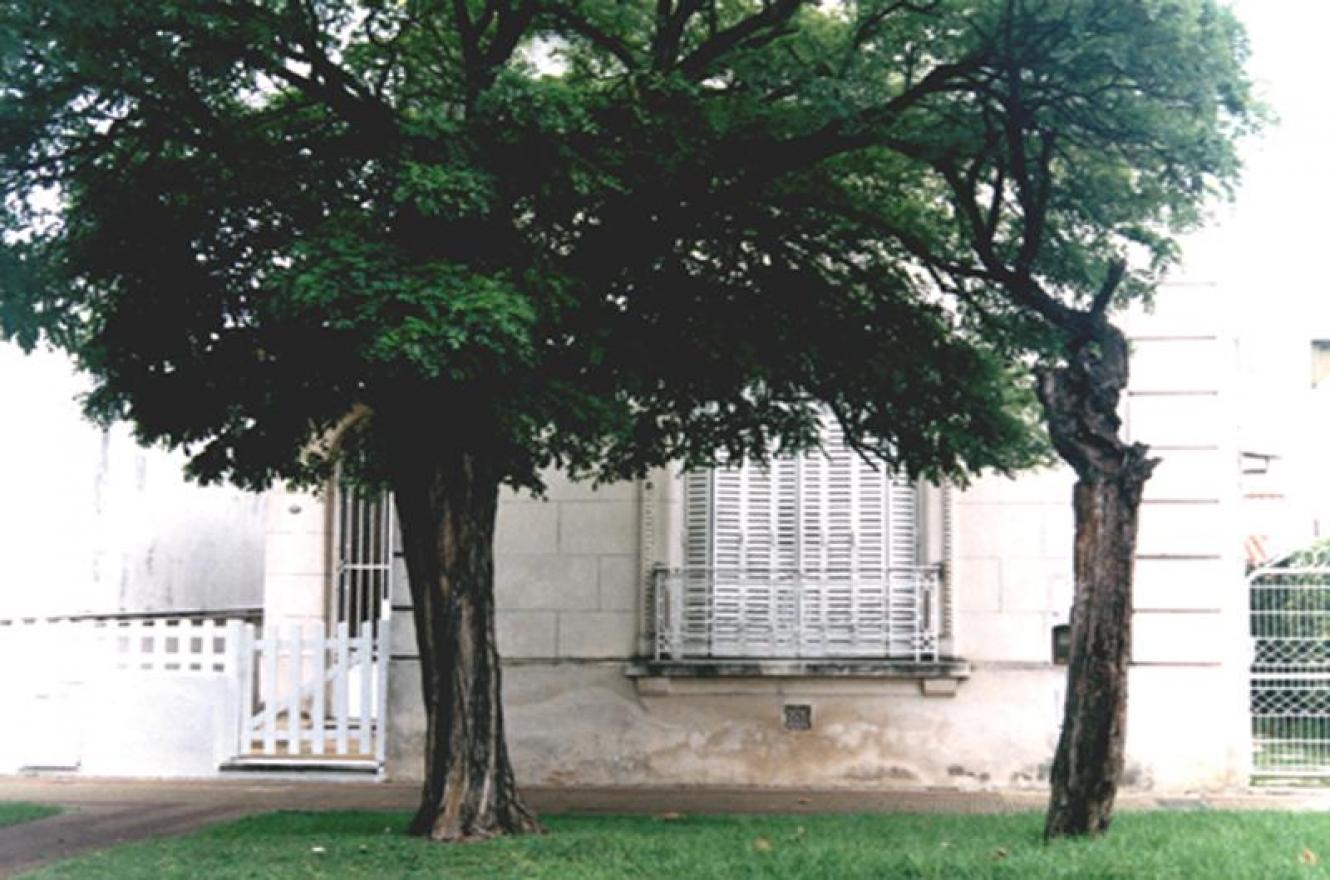 Gustavo Fontán