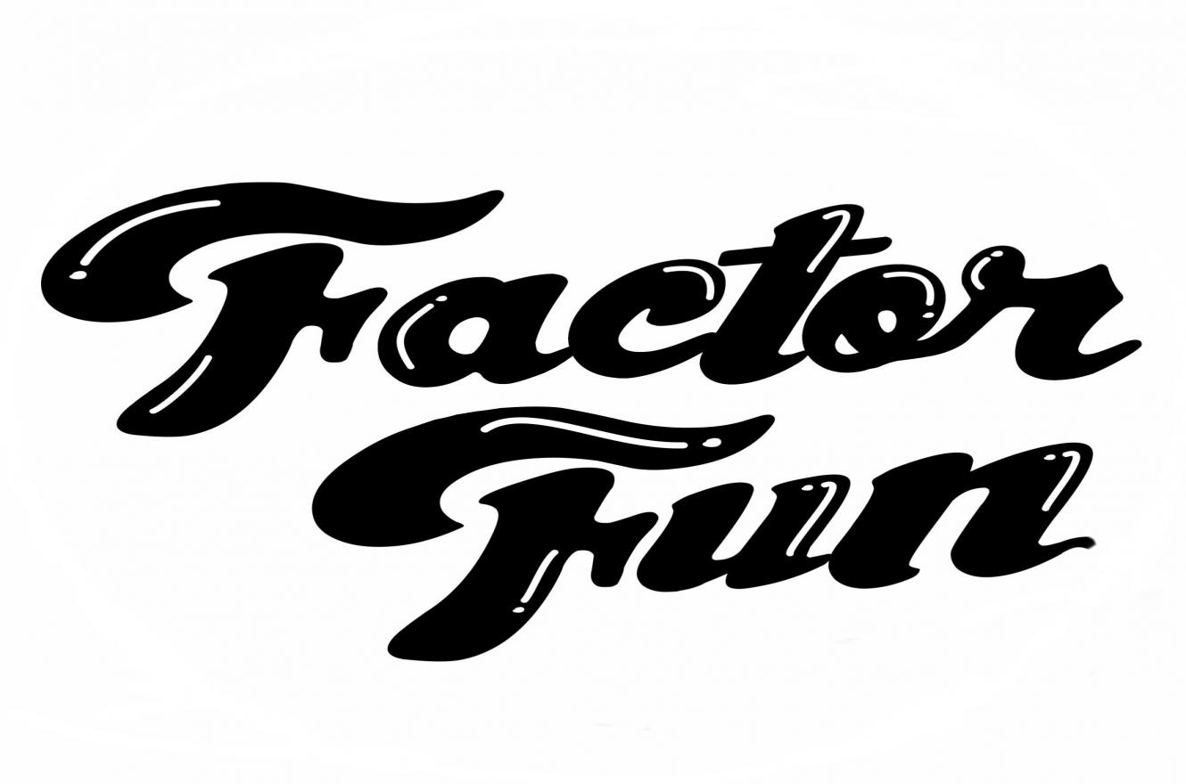Factor Fun