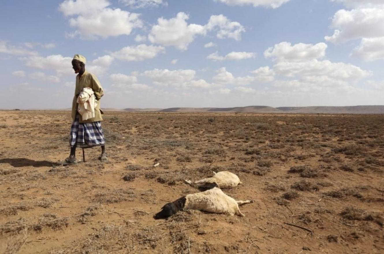 Según el Banco Mundial, el cambio climático puede hacer migrar a 216 millones de personas