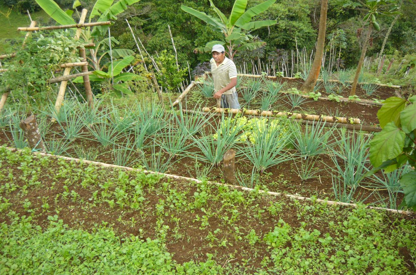 agroecología