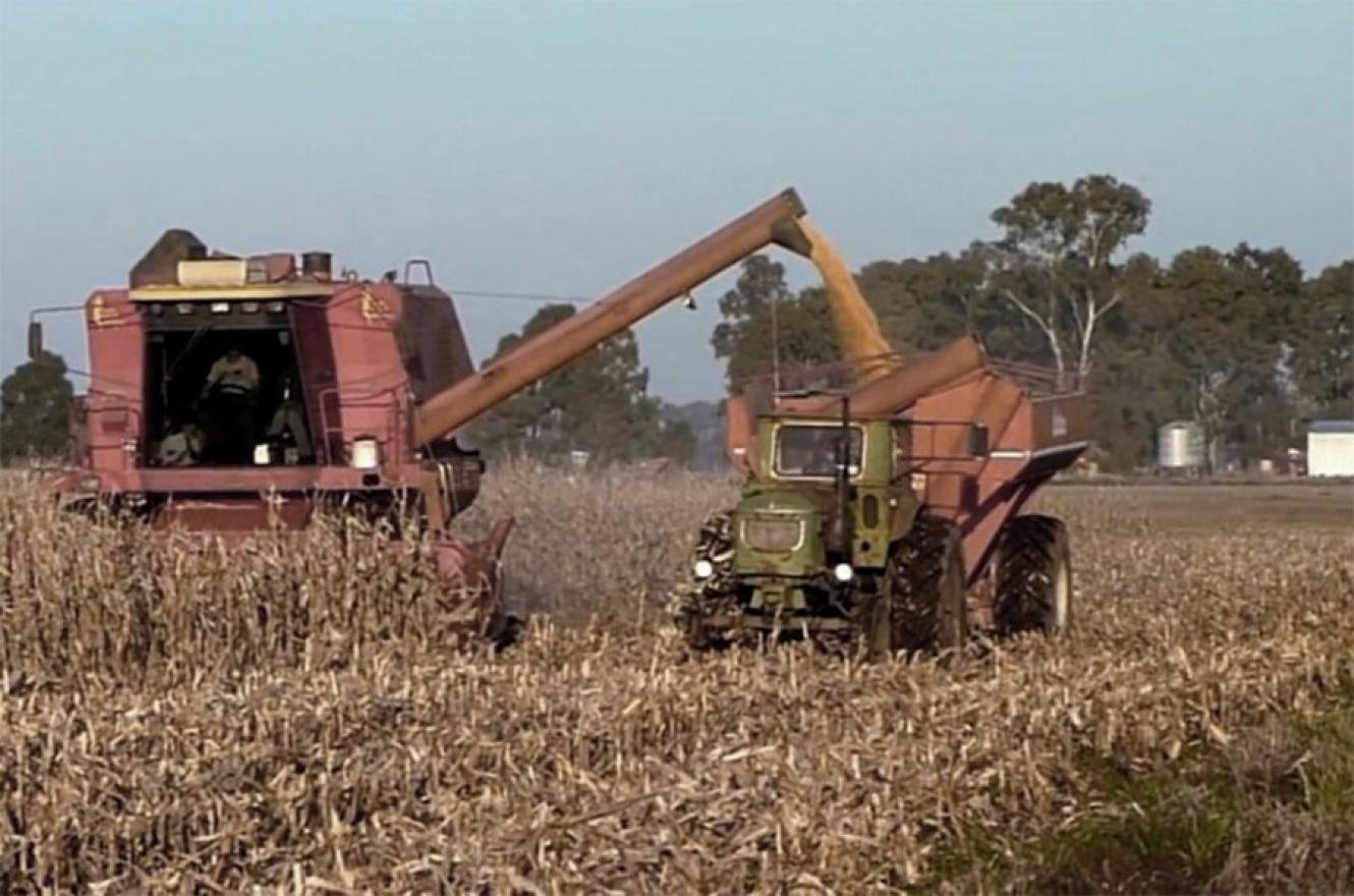 Habrá préstamos subsidiados para pequeños productores que no entraron al dólar soja.