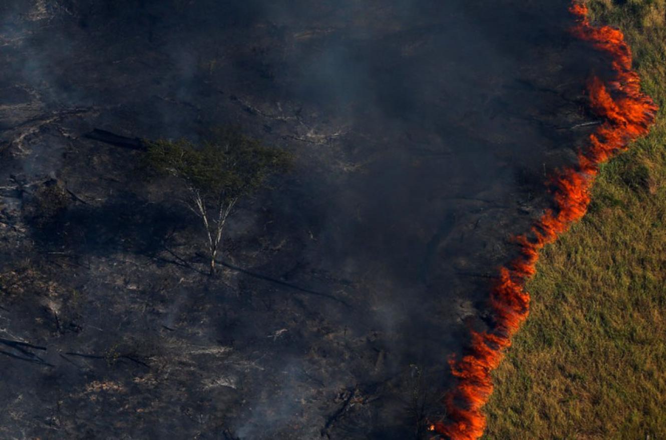 Lo que está sucediendo en el Amazonas con los incendios, tiene su origen en los agrotóxicos, el desmonte nativo, la expansión de la agricultura sin controles y el extractivismo en todas sus formas, entre otros males.