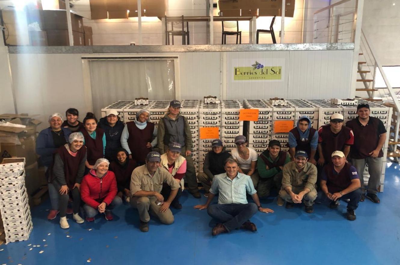 Una empresa de Concordia concretó el primer embarque de arándanos a Israel