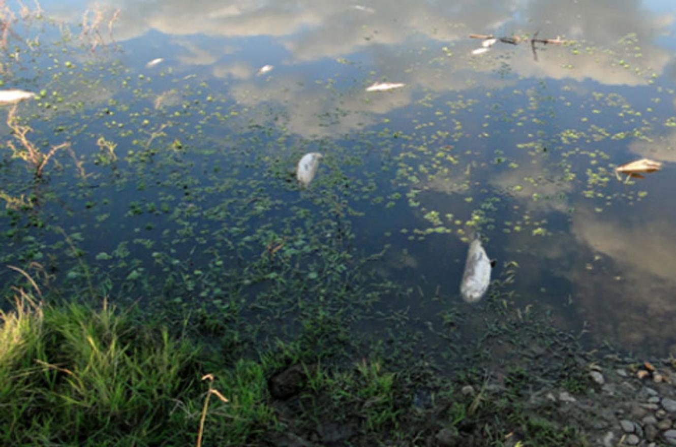 Investigarán posible lavado de activos en la contaminación de Citric Chajarí