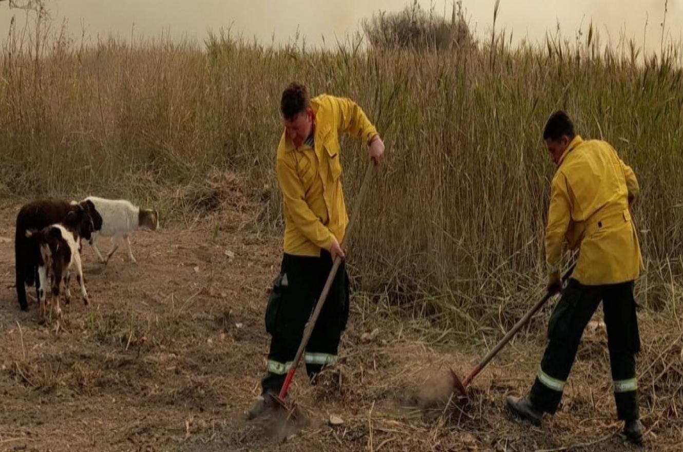 Con operativos en Santa Fe y Buenos Aires continúa el combate de incendios en el Delta