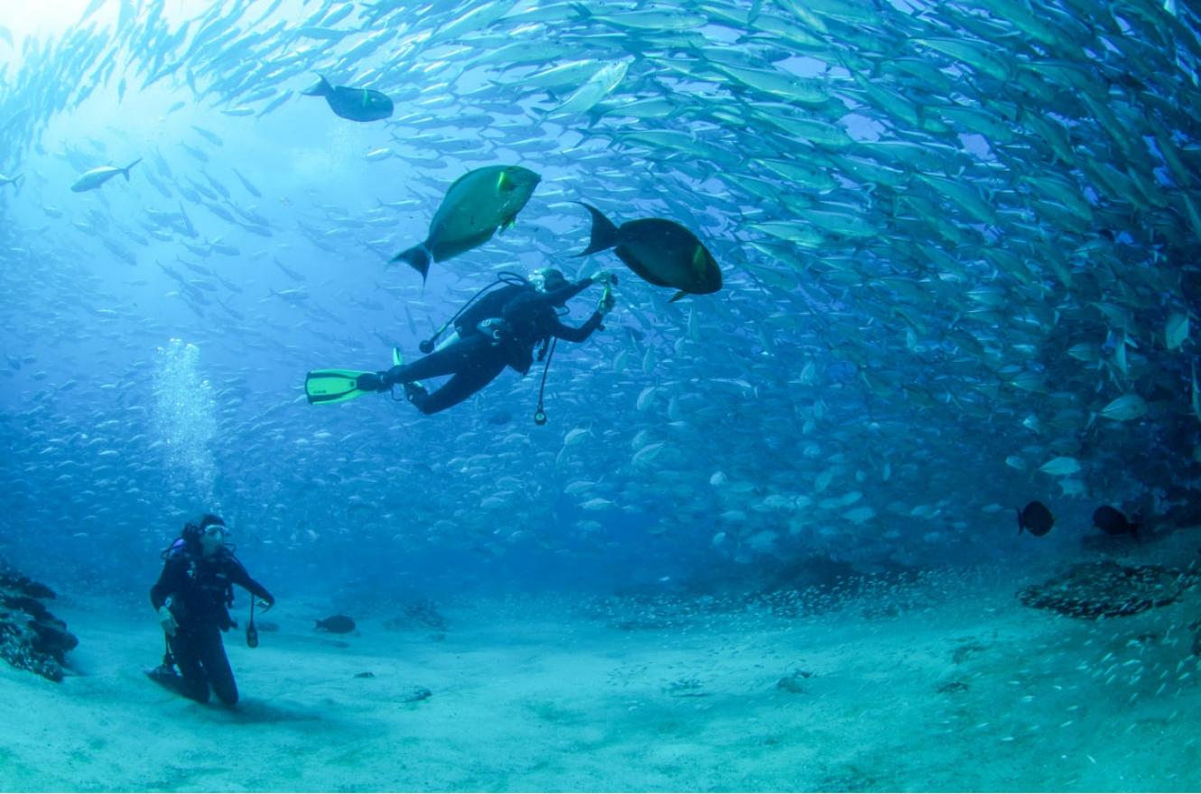 Escuela de Buceo