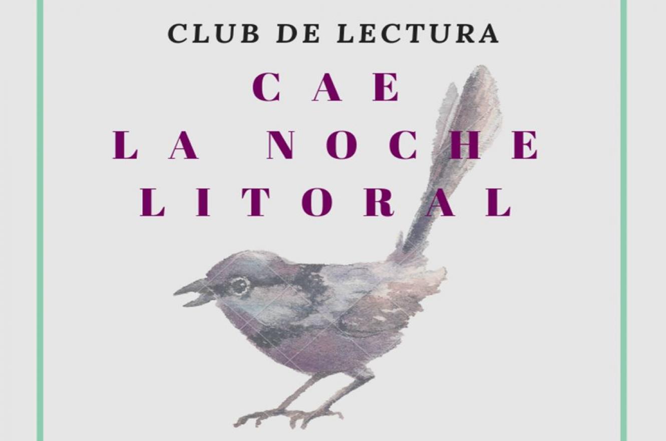 Cae la noche litoral