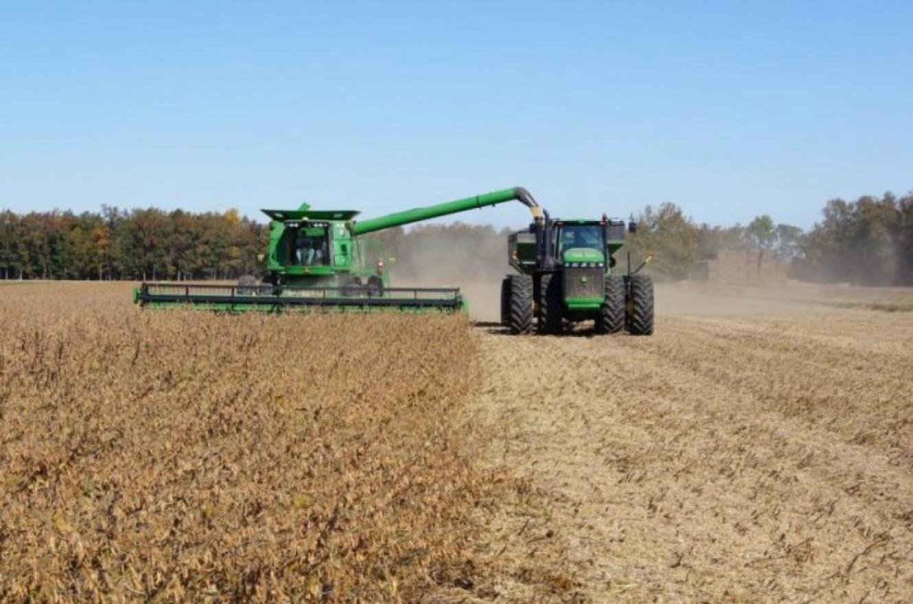 Agricultura contribuyó a atenuar la caída