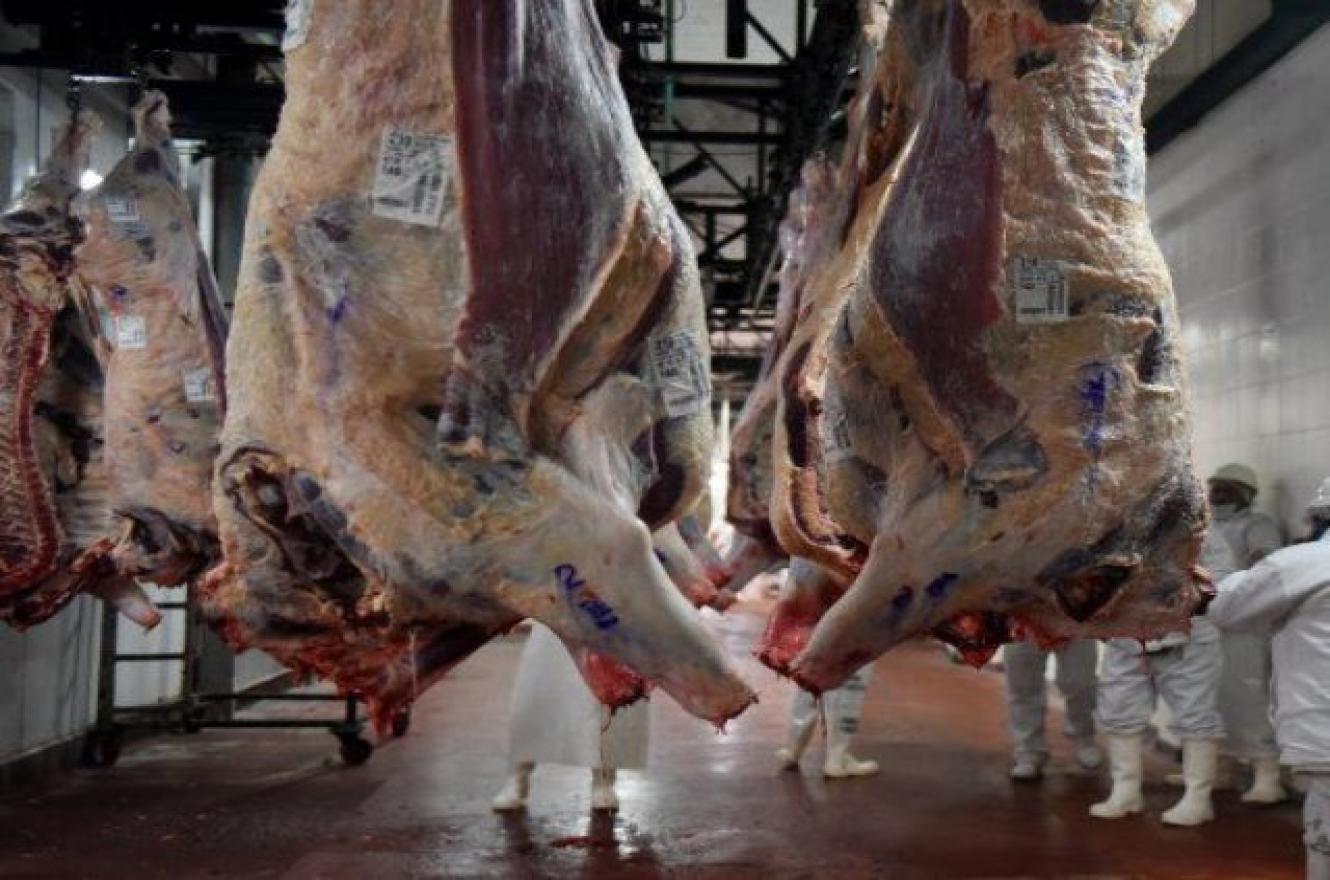 El Ministerio de Agricultura suspendió la operación de 12 empresas exportadoras de carne