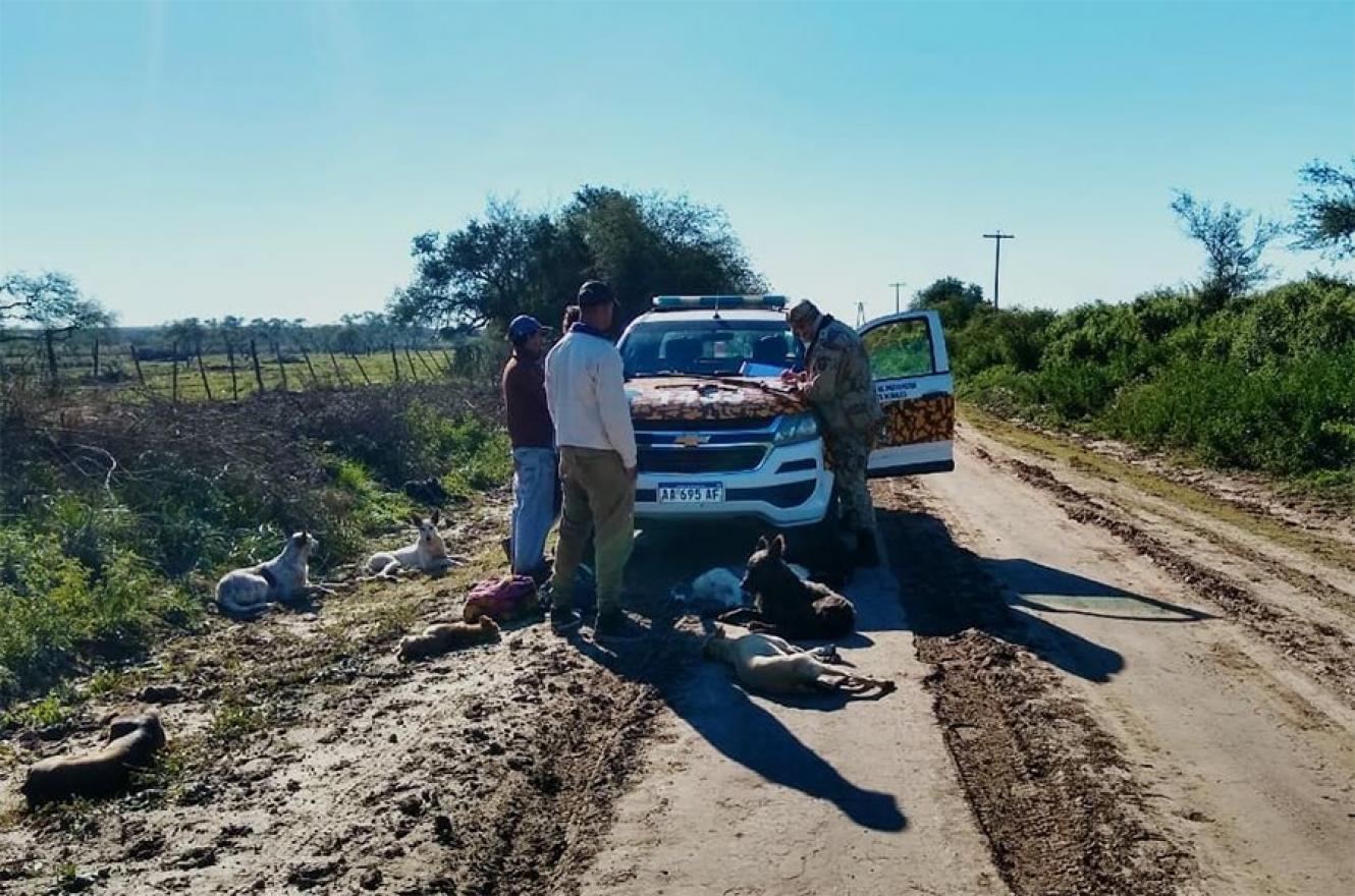 La caza furtiva está haciendo estragos en los campos de la zona Sur de la provincia.