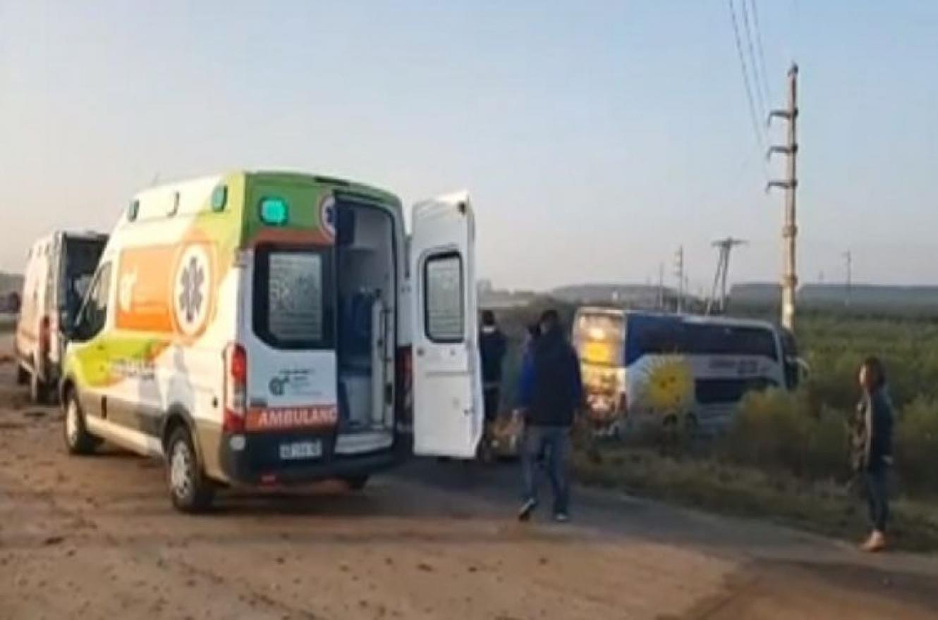 colectivo