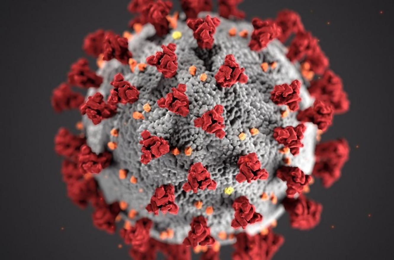 coronavirus