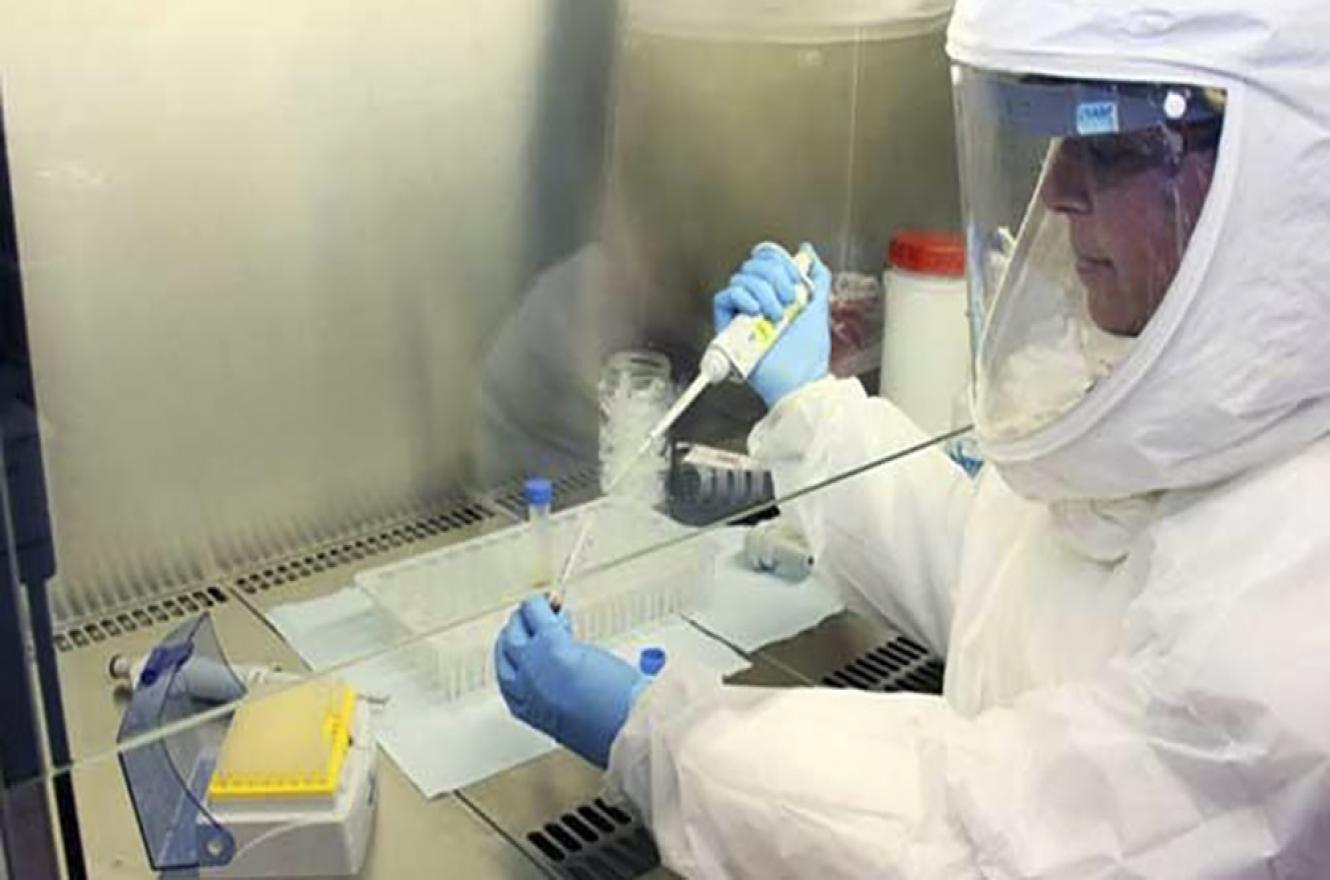 coronavirus