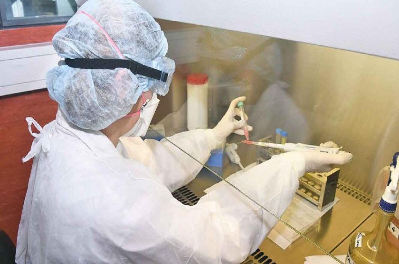 coronavirus laboratorio