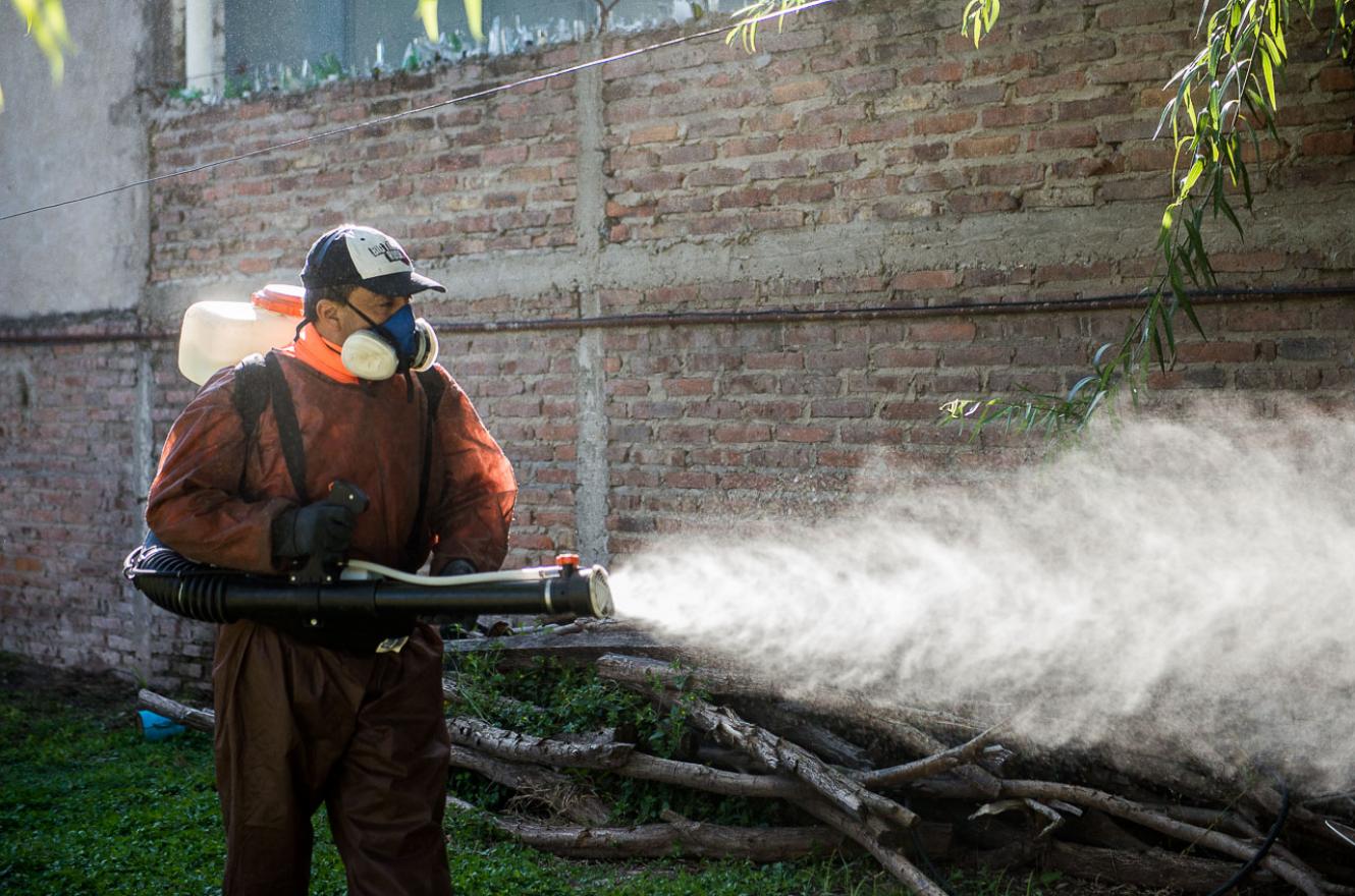 dengue