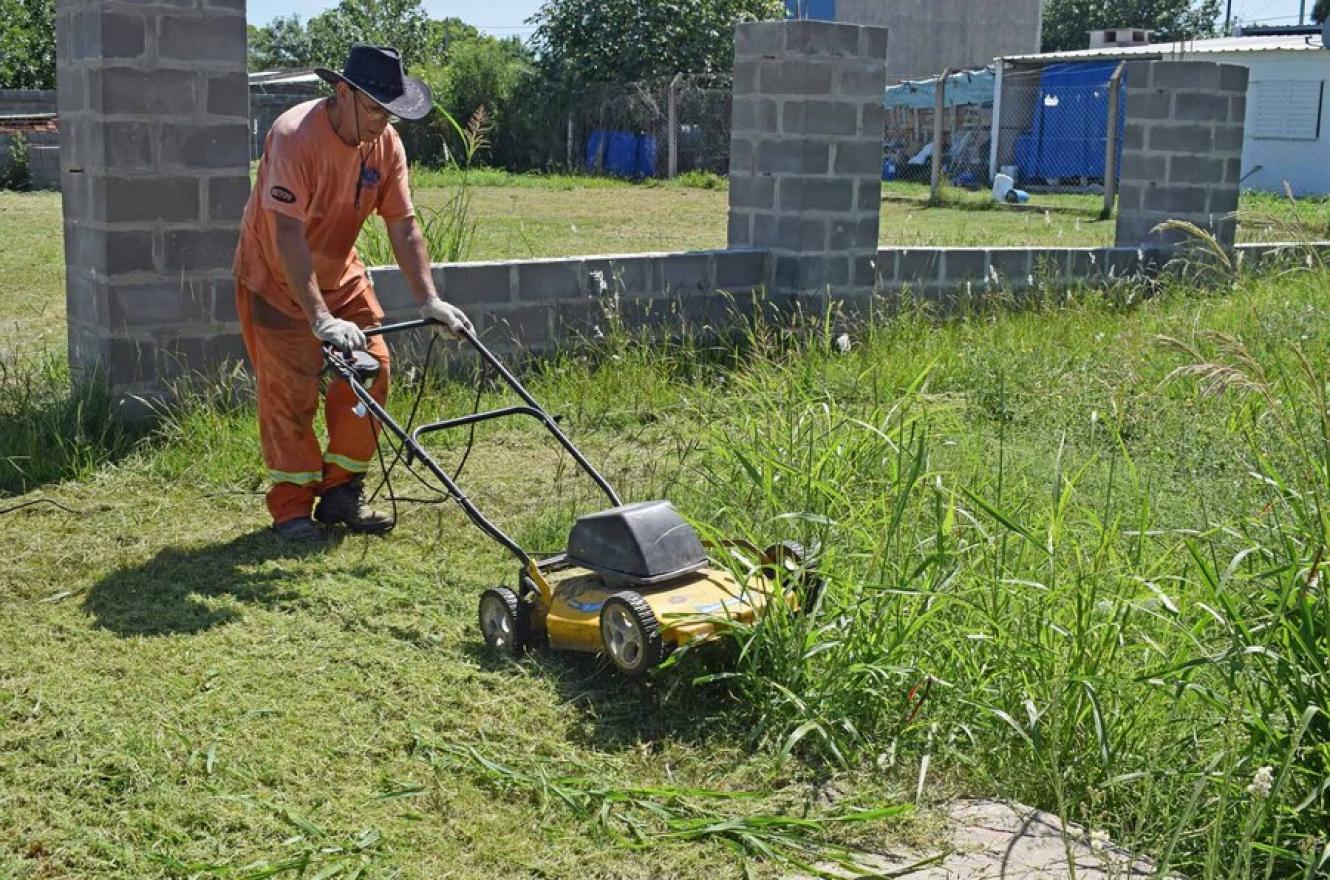 La limpieza de nuestro hogar es fundamental para evitar la reproducción de mosquitos.