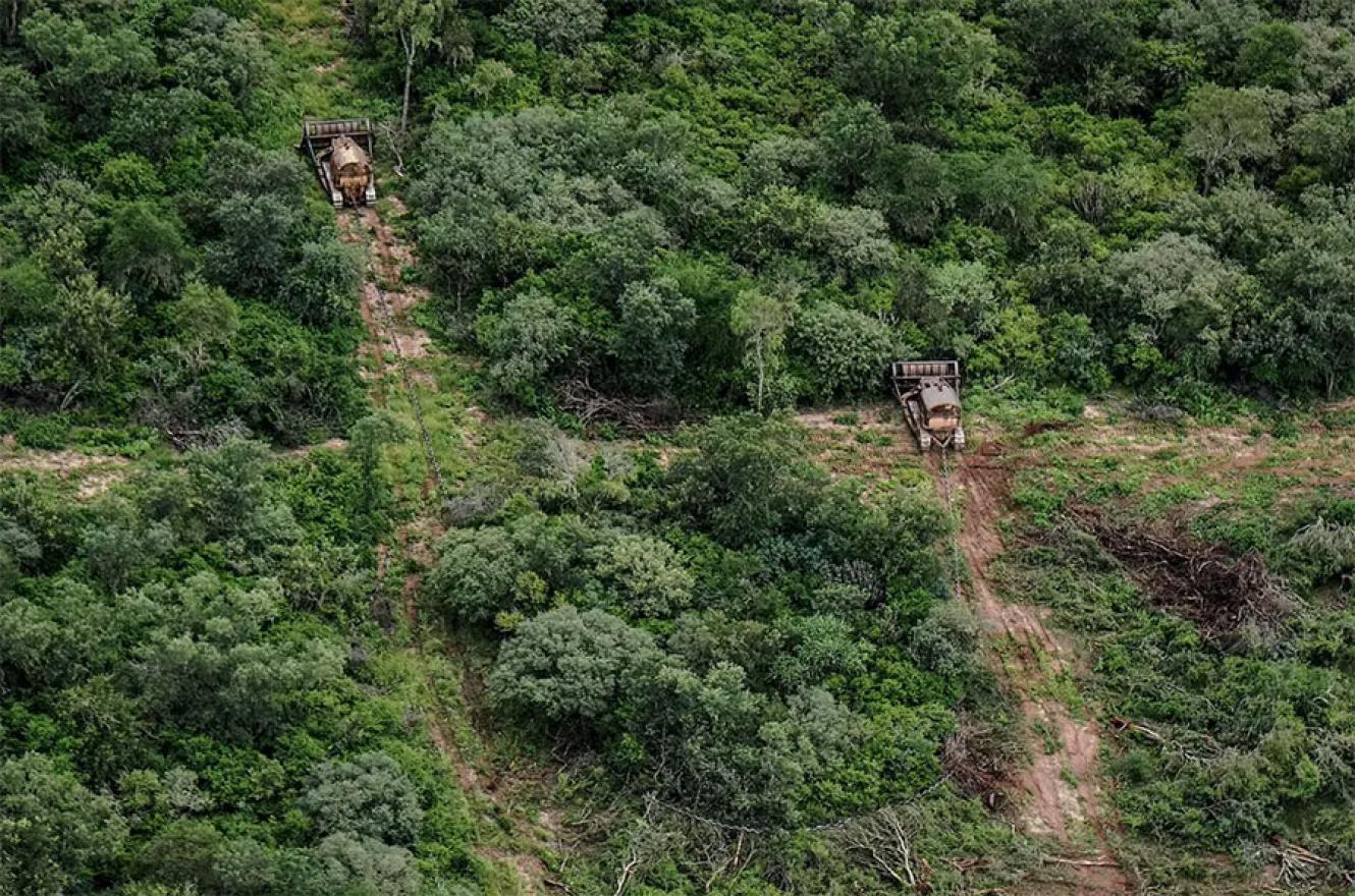 El financiamiento del Fondo Verde del Clima es porque el país logró -a partir de la implementación de ley de bosques- reducir el efecto invernadero y en algunos casos detener el desmonte nativo.