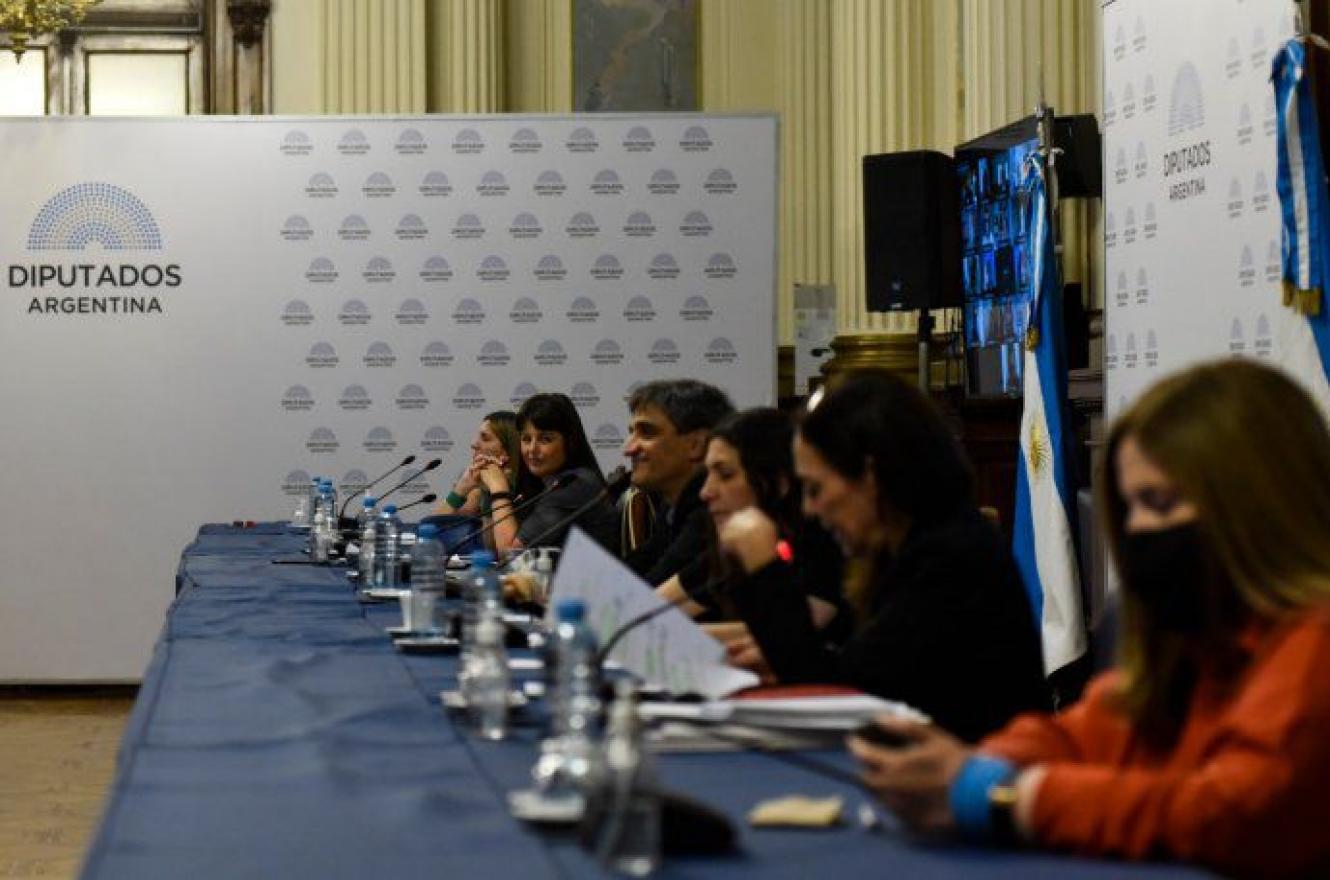 Diputados continuó con la cuarta jornada de debate por la legalización del aborto