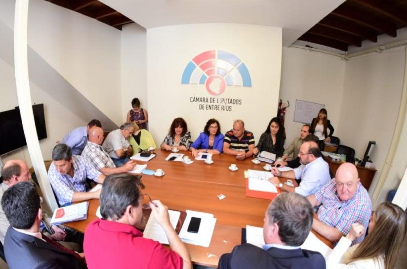 diputados