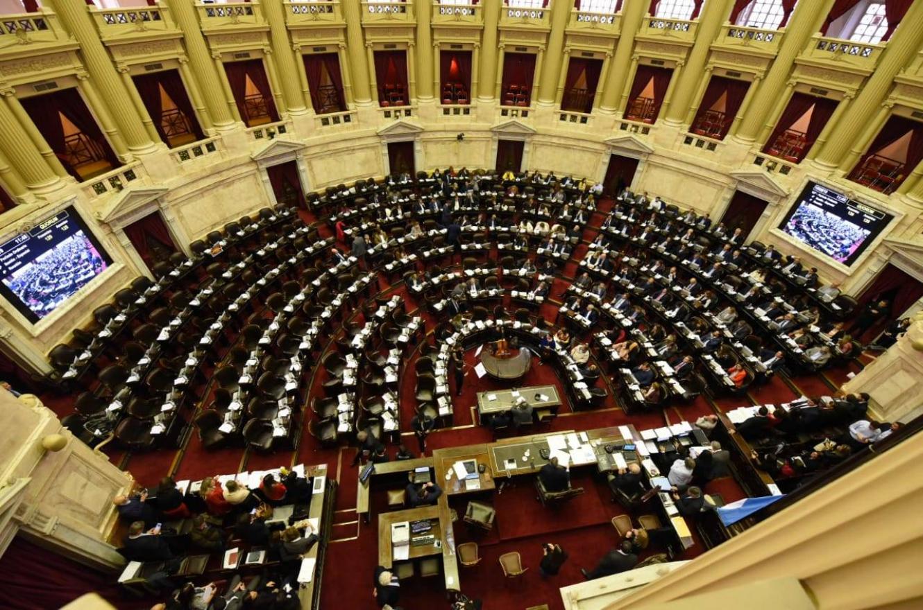 Ingresará por Diputados